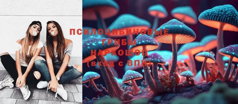 купить наркотик  Елабуга  Галлюциногенные грибы MAGIC MUSHROOMS 