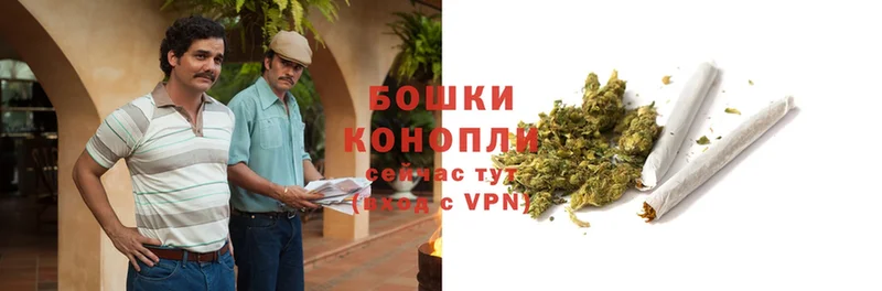 Шишки марихуана THC 21%  Елабуга 